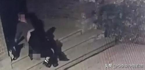 熊吉吃瓜视频完整版,揭秘娱乐圈幕后真相，带你领略明星真实生活