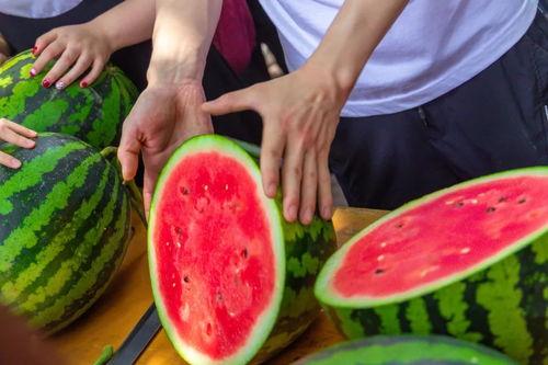 湖北工程大学吃瓜视频,揭秘校园生活趣事