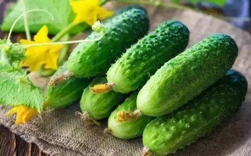 网上的吃瓜视频是怎么制作的,网络红人如何玩转短视频盛宴