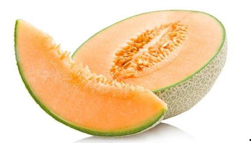 甲虫吃哈密瓜吗有毒吗视频,视频揭示真相