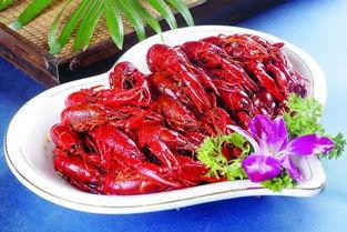 吃虾瓜最新视频,美味虾瓜制作全过程