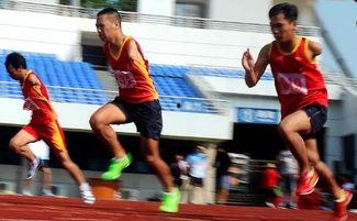 残疾人吃瓜视频,展现生活乐趣与平等关怀