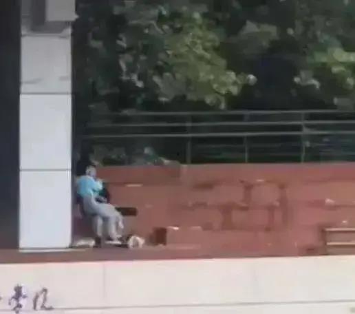 四川交院操场吃瓜视频,校园奇观引发热议