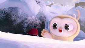 农村吃瓜比赛搞笑视频,笑料百出引网友热议