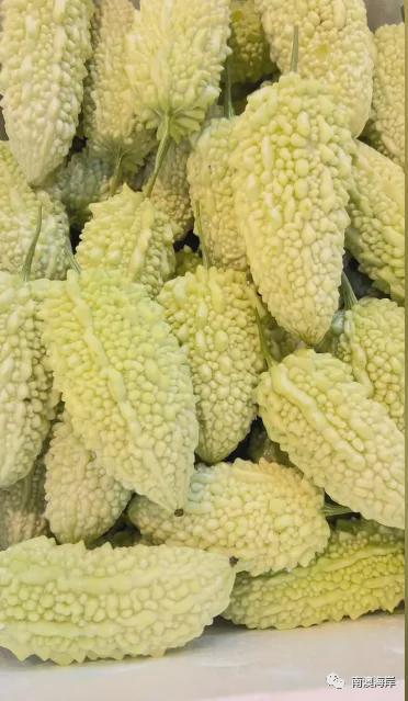 吃五月瓜视频大全,视频大全带你领略时令美味