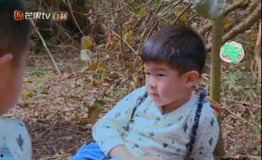 安吉县吃瓜事件视频曝光,视频曝光引发社会关注