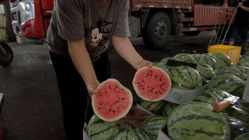 小八月现场吃瓜视频,揭秘娱乐圈幕后真相