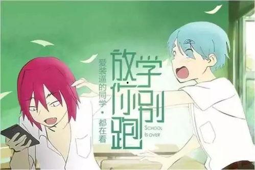 吃瓜讲故事博主长视频,揭秘吃瓜博主长视频背后的故事